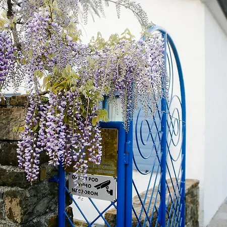 Apartamento Novka