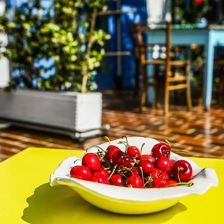 Apartman Novka *