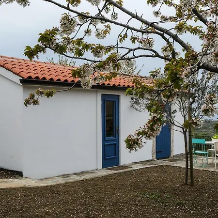 Apartman Novka Izola