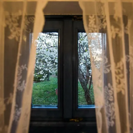 Apartman Novka Izola