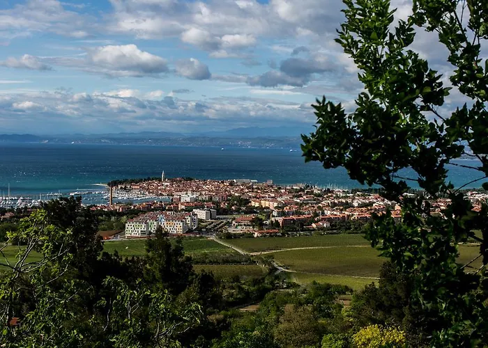 Apartment Novka Izola